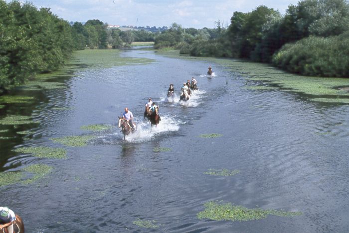Castles of the Loire - Trail ride for connoisseurs