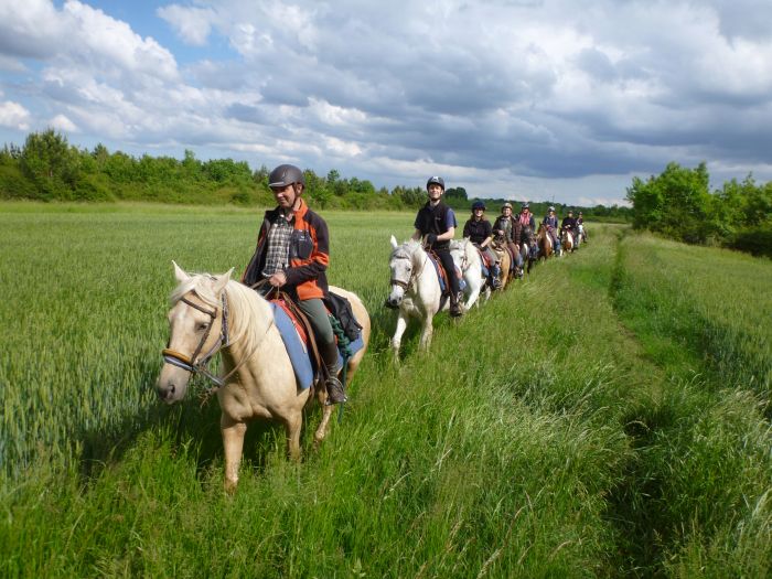 Castles of the Loire - Trail ride for connoisseurs