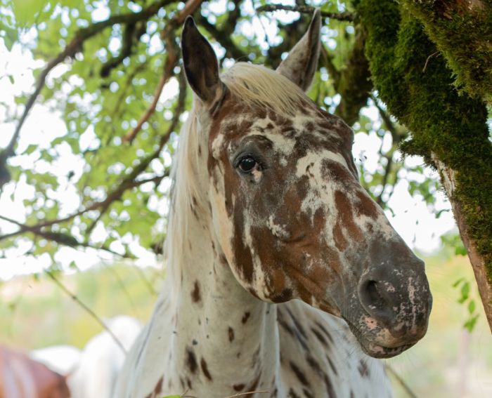 Riding & enjoying the Lot