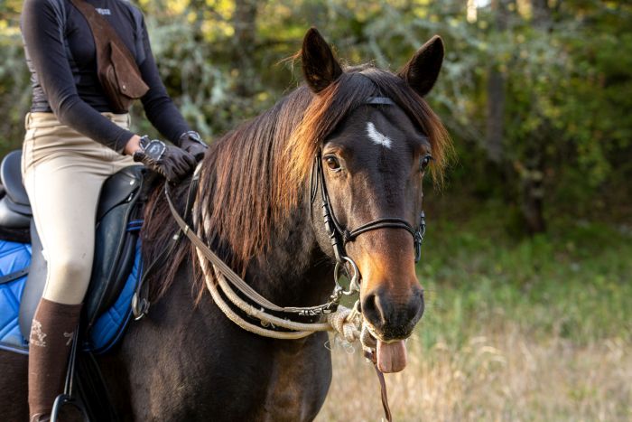 Riding & enjoying the Lot