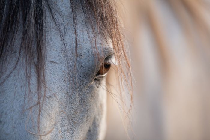 Riding & enjoying the Lot