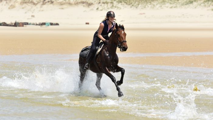 The Atlantic Coast- a rider´s dream