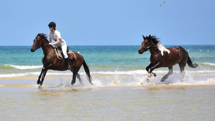 The Atlantic Coast- a rider´s dream