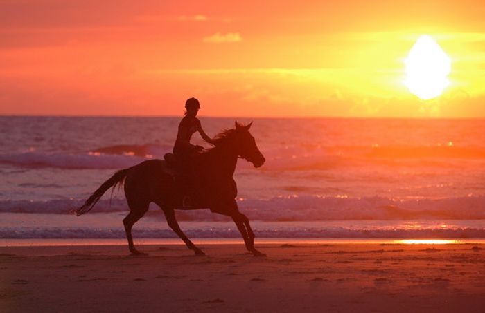 The Atlantic Coast- a rider´s dream