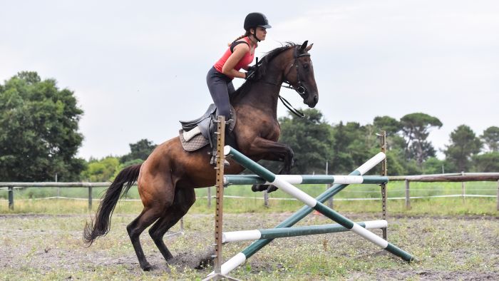 The Atlantic Coast- a rider´s dream