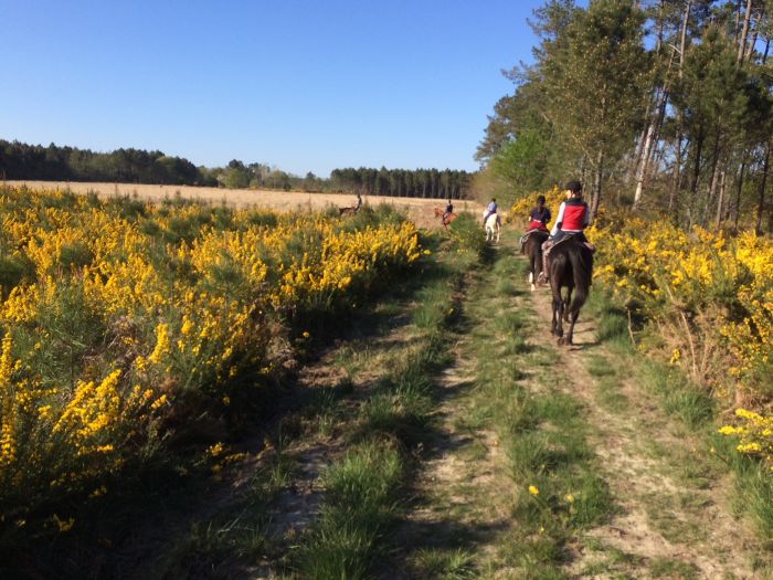 The Atlantic Coast- a rider´s dream