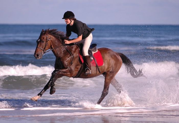 The Atlantic Coast- a rider´s dream