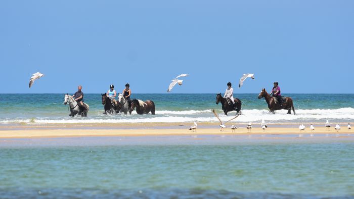 The Atlantic Coast- a rider´s dream