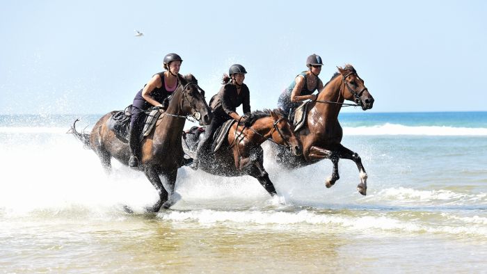 The Atlantic Coast- a rider´s dream