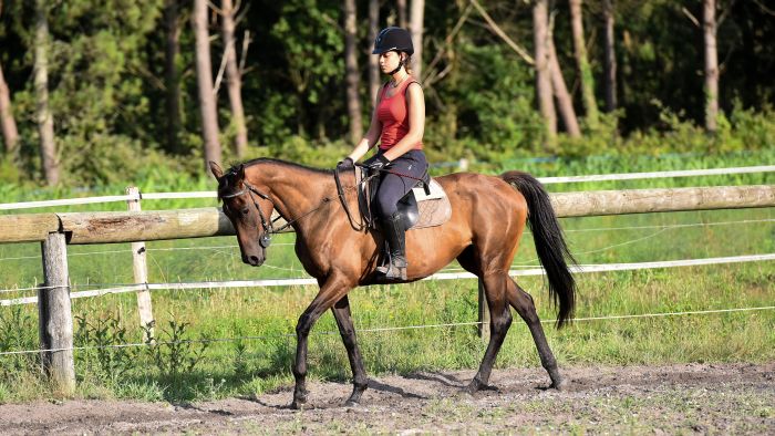 The Atlantic Coast- a rider´s dream