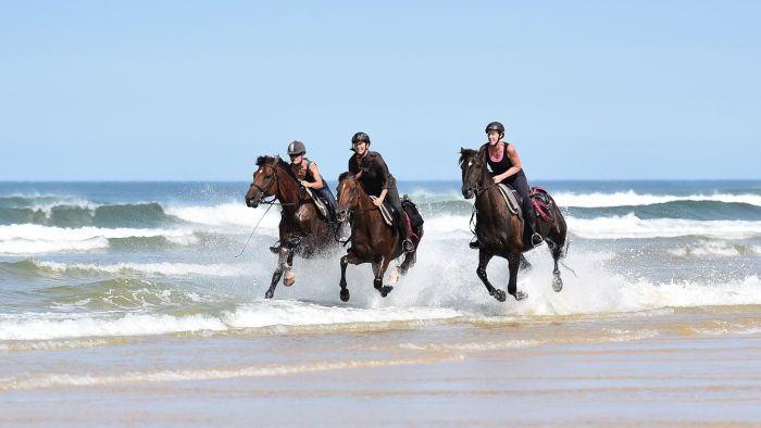 The Atlantic Coast- a rider´s dream