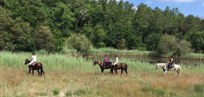 The Atlantic Coast- a rider´s dream