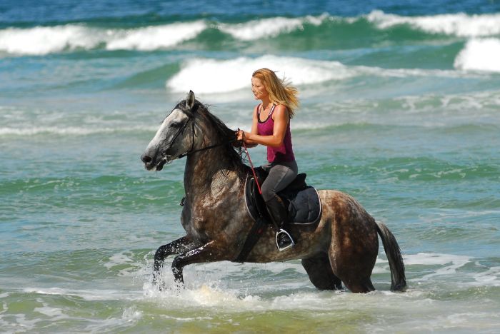 Atlantic Ride France
