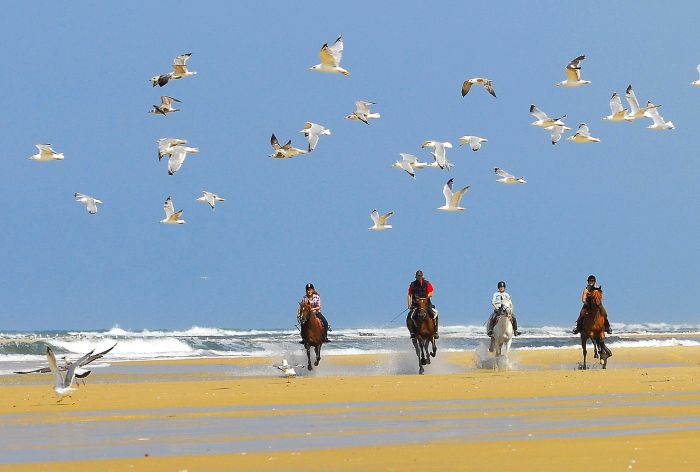 Atlantic Ride France