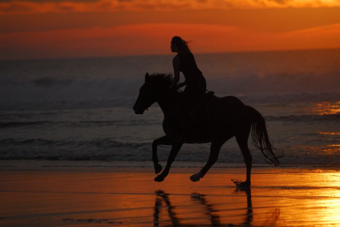 Atlantic Ride France