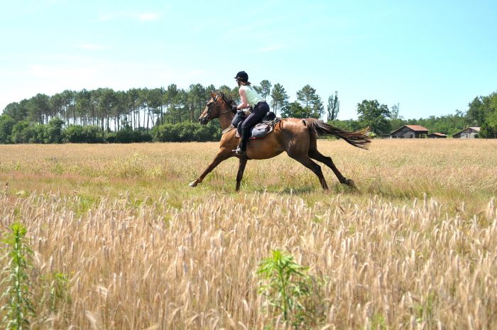 Atlantic Ride France