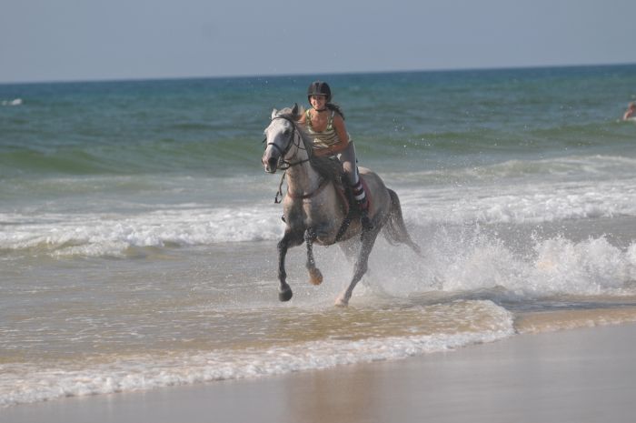 Atlantic Ride France