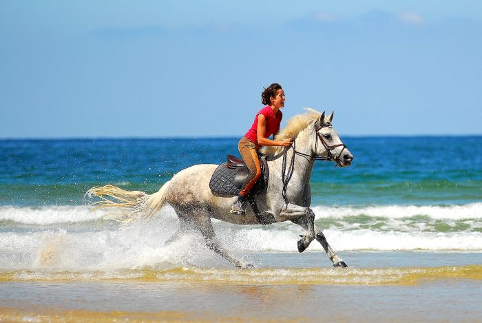 Atlantic Ride France