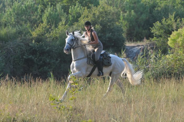 Atlantic Ride France