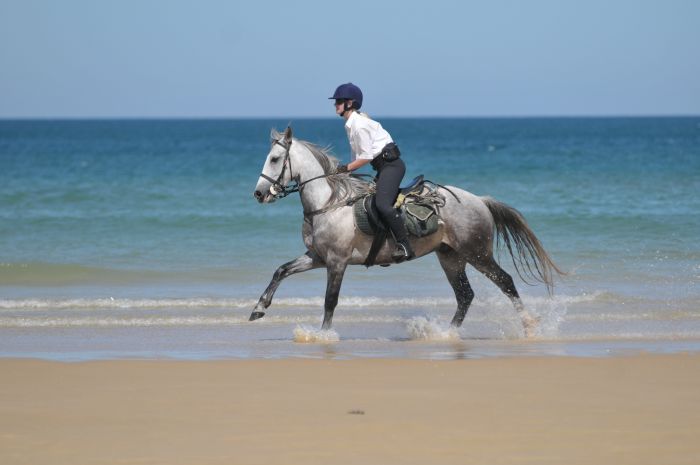 Atlantic Ride France