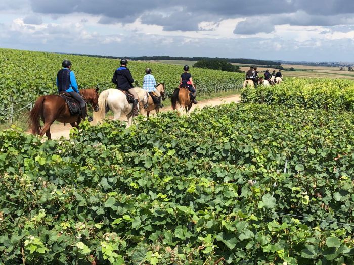 Sancerre Whisky & Wine Trail