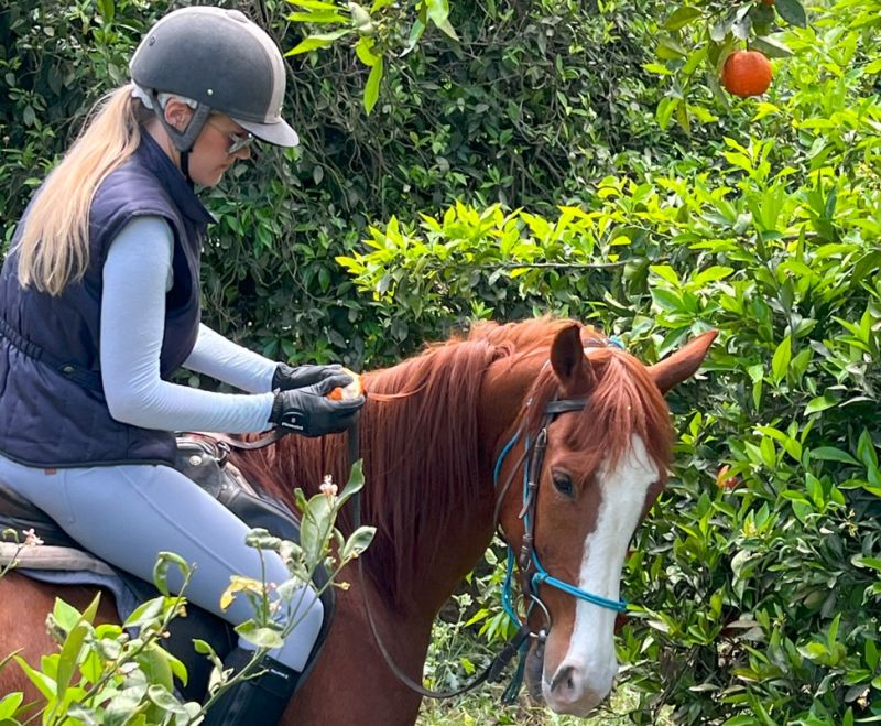 Equestrian hotel in the Taurus Mountains