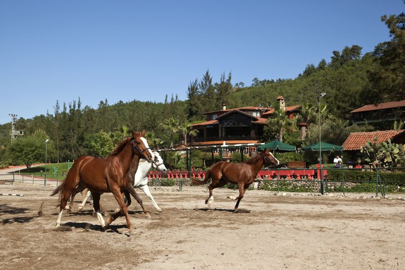 Equestrian hotel in the Taurus Mountains