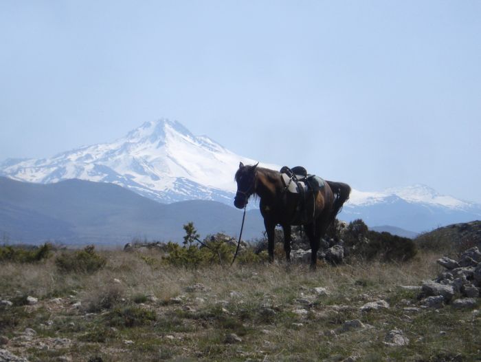 In the land of the beautiful horses