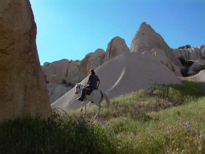 In the land of the beautiful horses