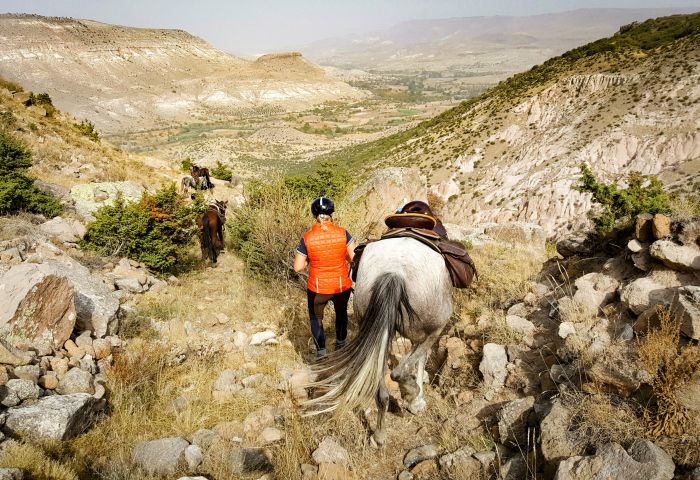 In the land of the beautiful horses