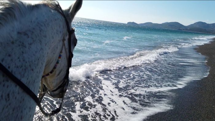 Dalyan Coast Ride