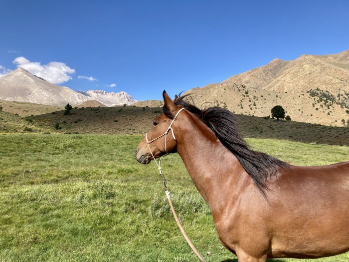 Adventure trails Cappadocia