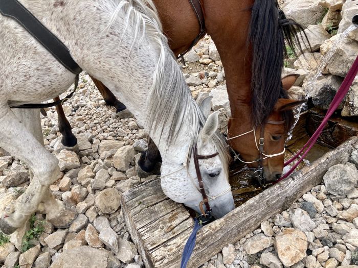 Adventure trails Cappadocia