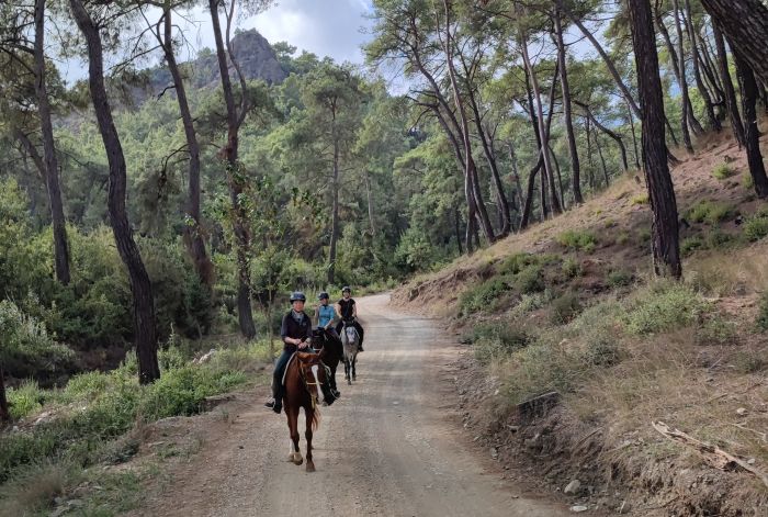 The Lycian Trail