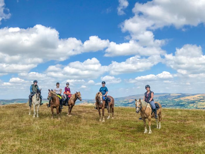 <p>Cambrian Mountain Trail</p>