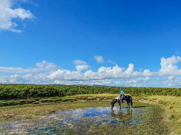 <p>Cambrian Mountain Trail</p>