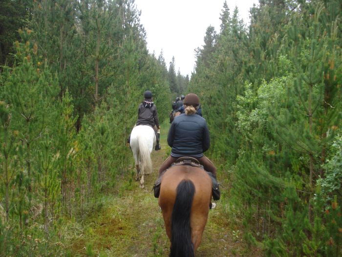 Killarney Reeks Trail