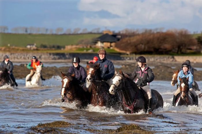 Riding Vacation in a 4* Hotel near Westport