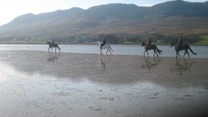 Riding Vacation in a 4* Hotel near Westport