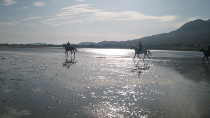 Riding Vacation in a 4* Hotel near Westport