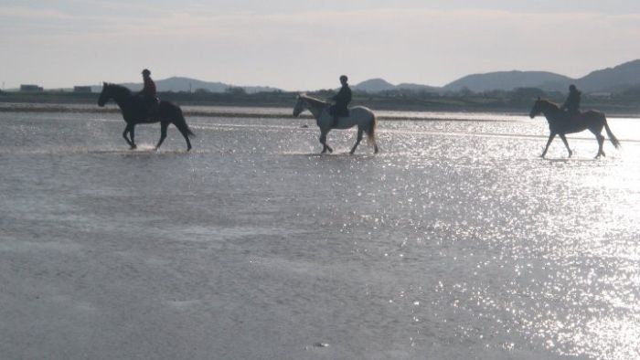 Riding Vacation in a 4* Hotel near Westport