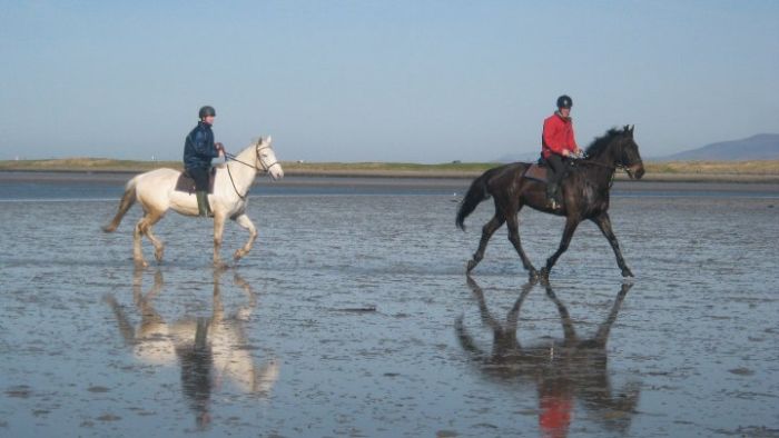 Riding Vacation in a 4* Hotel near Westport