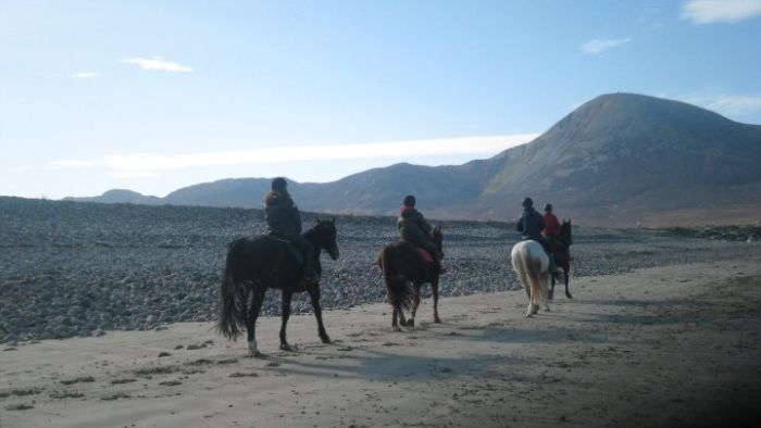 Riding Vacation in a 4* Hotel near Westport