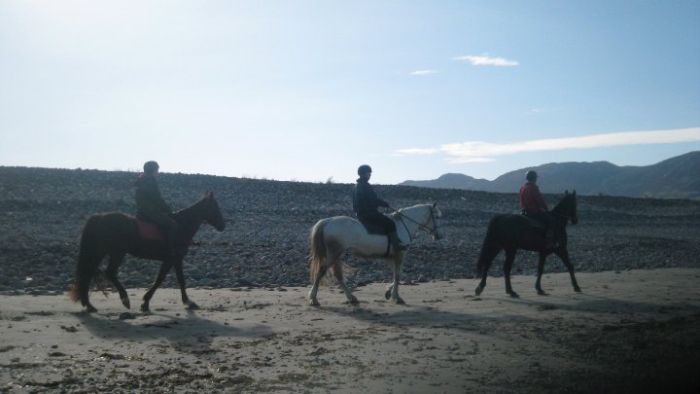 Riding Vacation in a 4* Hotel near Westport