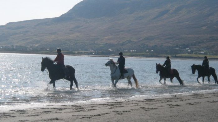 Riding Vacation in a 4* Hotel near Westport