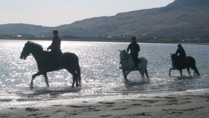 Riding Vacation in a 4* Hotel near Westport