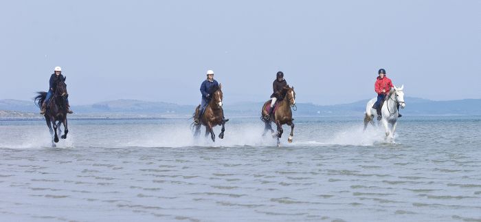 Riding Vacation in a 4* Hotel near Westport