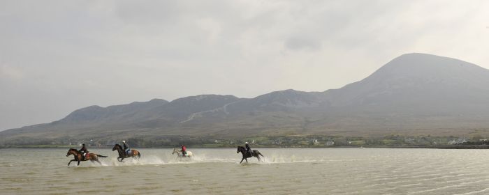 Riding Vacation in a 4* Hotel near Westport