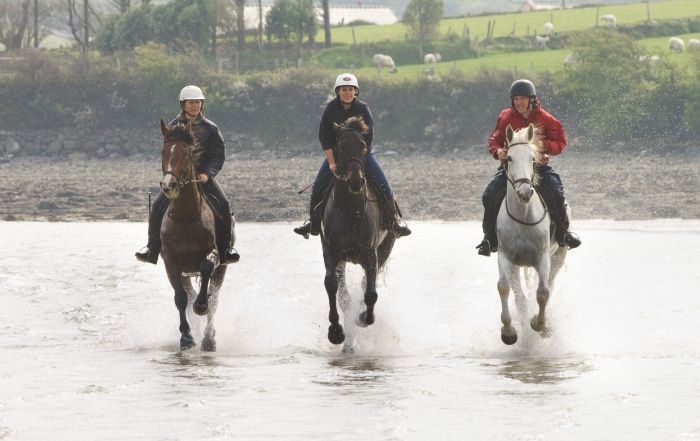 Riding Vacation in a 4* Hotel near Westport