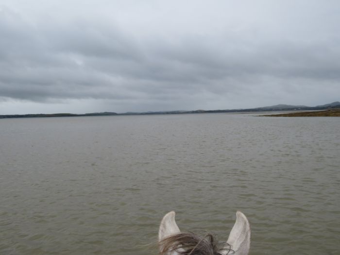 Riding Vacation in a 4* Hotel near Westport